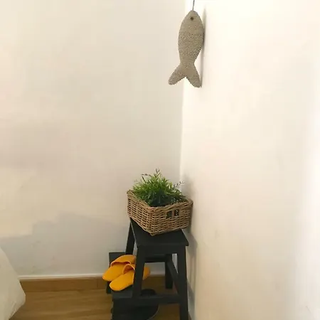 Window To Iii Apartament